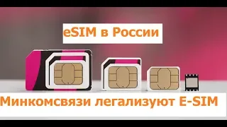 В Минкомсвязи нашли способ легализовать технологию eSIM в России