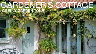 Cottage Garden Tour In May-Gardeners Cottage Blakeney #cottagegarden #gardeningvideos #gardentour