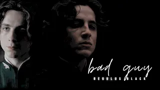 regulus black - bad guy