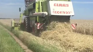 Жнива 2018 Claas Dominator 108 sl Україна