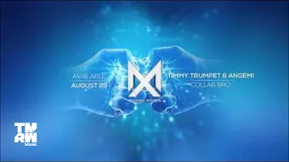 Timmy Trumpet & ANGEMI - Collab Bro