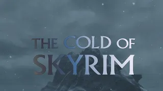 The cold of Skyrim - what will keep you the warmest