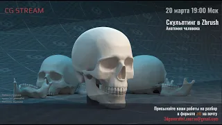 CG Stream. Анатомия человека ZBrush