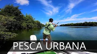 "Mucha pesca", surubíes, dorados y bogas en Corrientes, Pousadas Puerto Paraíso, PESCA URBANA