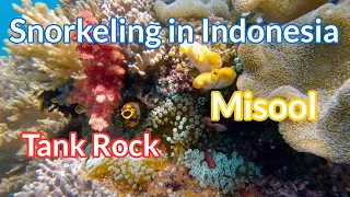 Tank Rock, Misool, Raja Ampat - 4K Snorkeling in Indonesia