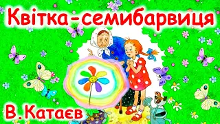 AУДІОКАЗКА НА НІЧ - "КВІТКА-СЕМИБАРВИЦЯ" В.Катаєв | Аудіокниги для дітей українською мовою |Слухати