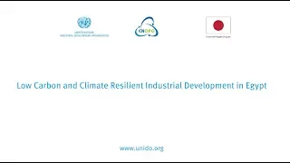 Low Carbon and Climate Resilient Industrial Development in Egypt