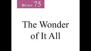 75 The Wonder of It All (instrumental)