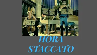 G. Dinicu: Hora Staccato / special version with panflute, violoncello and harpsichord