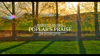 Poplar's Praise - Uplifting Native American Flute