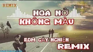 Hoa Nở Không Màu Remix EDM-TÔN NAM- [Karaoke remix]-Hoài Lâm