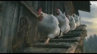 Gallosuisse Werbespot "Die glücklichsten Hühner legen die besten Eier! "