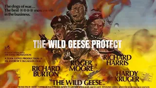 The Wild Geese Project