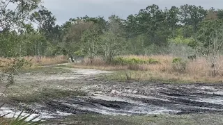 Ripping the KX125: RAW footage