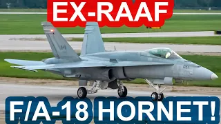 Ex- RAAF F/A-18 flies for the very FIRST time for the RCAF in Mirabel (YMX)