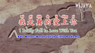 我是真的愛上你 Wo Shi Zhen De Ai Shang Ni | Aku Benar-Benar Jatuh Cinta Padamu