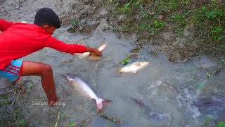 Best Hand Fishing | Amazing Boy Catching Big Catfish In Mud Water || Hand Fishing For Catfish