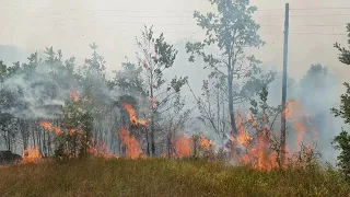 FEUER...FIRE...POŽAR...Montenegro a state that destroys nature and forests !!!