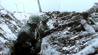 Germans on the Eastern Front - Winter War