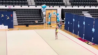 Rhythmic Gymnastics - Ball 2024