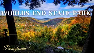 WORLDS END STATE PARK - CANYON VISTA/COLD RUN LOOP - FALL FOLIAGE - SCENIC PENNSYLVANIA