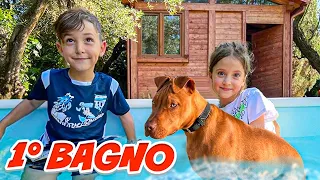 BUTTIAMO IL NOSTRO CANE ROCKY IN PISCINA PER LA PRIMA VOLTA E SCOPRIAMO CHE SA NUOTARE!