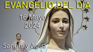 Evangelio Del Dia Hoy - Jueves 16 Mayo 2024- Sangre y Agua
