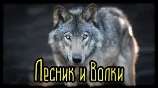 Лесник и волки (Страшная История)