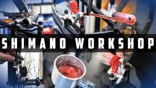 AUSFÜHRLICHER SHIMANO BREMSEN WORKSHOP - MONTAGE,  ENTLÜFTEN & EINSTELLEN 1000 € HARDTAIL PROJEJEKT