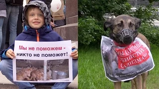 Не бойся, я с тобой: митинг в защиту животных