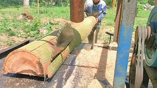 penggergajian sangat renyah, kayu waru gunung di buat usuk pakai gergaji serkel keliling