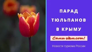 Парад тюльпанов в Крыму. Новости туризма России.