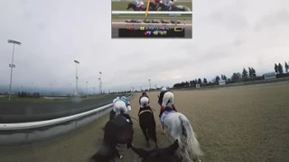 360AR HORSE RACE - NOT STABILIZED