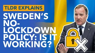 Is Sweden's No-Lockdown Policy Working? - TLDR News