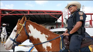 Meet Sgt. M. Carrizales with our Mounted Patrol Unit