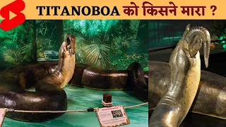 Titanoboa जिंदा क्यो नही है? | Titanoboa Snake | #titanoboa #shorts