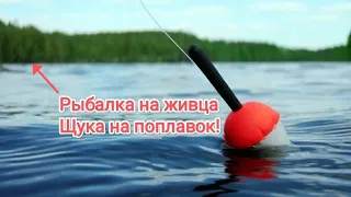 Ловля щуки на удочку на живца! Щука на поплавок в октябре! Бывает и такое!