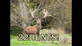 22HUNTS New Zealand Red Stag Hunting with BJ Holdsworth and Amplehunting .