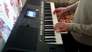 Пора домой - на Yamaha psr s-950