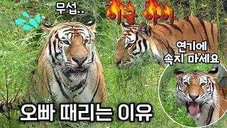 💥이글아이 눈빛 발사💥 마덜범은 연기였단 말인가