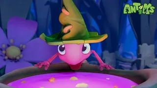 Potion in Motion | ANTIKS | Moonbug Kids - Funny Cartoons and Animation