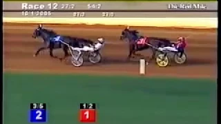 2005 Red Mile Lexington STRONG YANKEE Kentucky Futurity Race Off Brian Sears