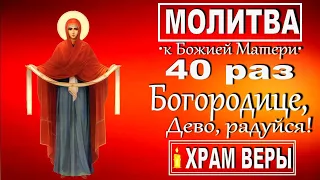 Молитва "Богородице, Дево, радуйся!" 40 раз подряд. Помолимся Божией Матери во оставление грехов ♥