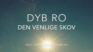 DYB RO Meditation - Den venlige skov
