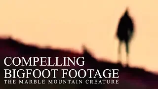 COMPELLING BIGFOOT FOOTAGE - (Marble Mountain) - Mountain Beast Mysteries Episode 46.