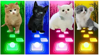 CUTE CATS | LADY GAGA BLOODY MARY 🆚  SHAKIRA WAKA WAKA   🆚 BTS DYNAMITE 🆚 BLACKPINK - TILES HOP