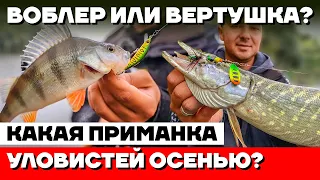 ОКУНЬ и ЩУКА на каждом забросе - ВОДА КИПИТ от РЫБЫ! Вобллер или Вертушка? Ловля хищника на спиннинг