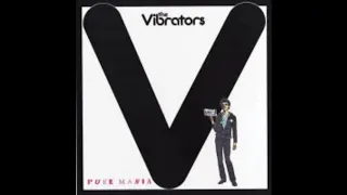 Vibrators - Into the future