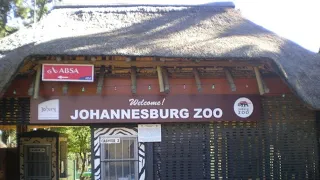 SPEND THE DAY WITH ME WT JOHANNESBURG ZOO|(Tour)