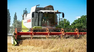 Žně 2020 - Ječmen  | Harvest 2020| Claas lexion 550 | John Deere